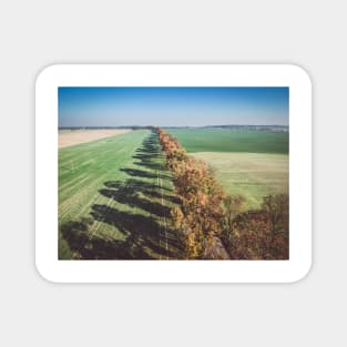 Alley of autumn trees among green fields in countryside Magnet