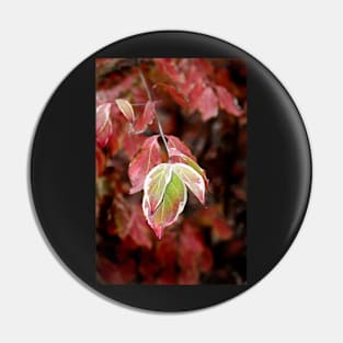 November Dogwood Pin