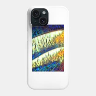 curved shapes in colourful stained glass window style Phone Case