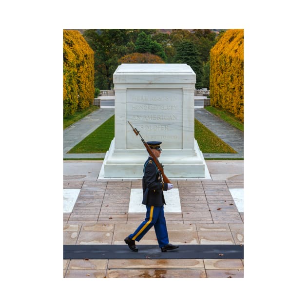 Soldier at the Tomb of the Unknowns by jforno