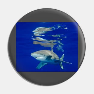 Reflections Pin