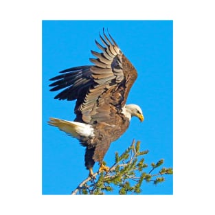 Bald Eagle Preparing for Flight T-Shirt