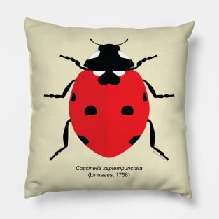 Ladybug Pillow