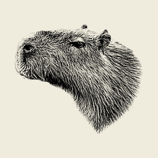 Capybara by Guardi