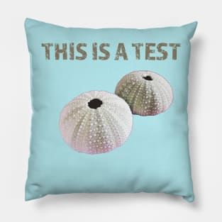 This is a Test Pillow