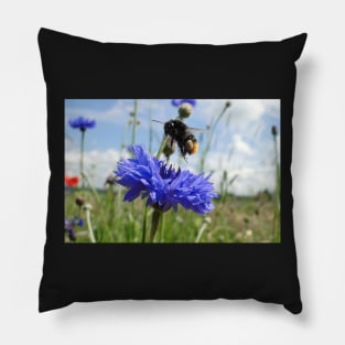 Flight Bee Incoming Pillow