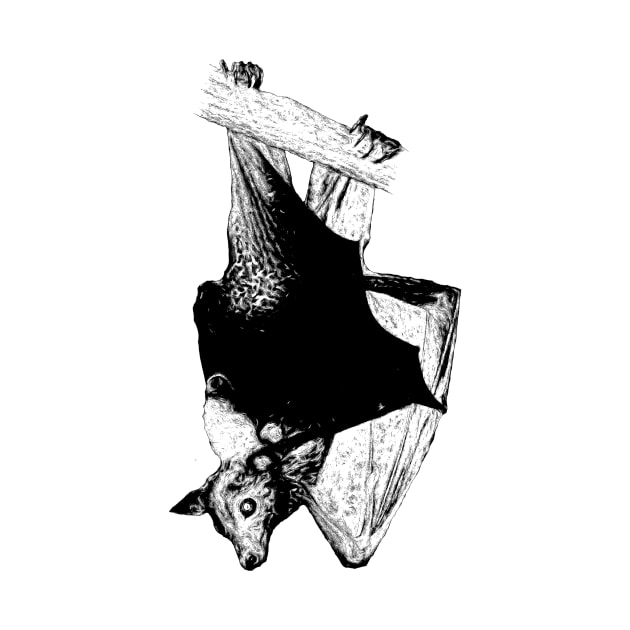 Lyle's flying fox by Guardi