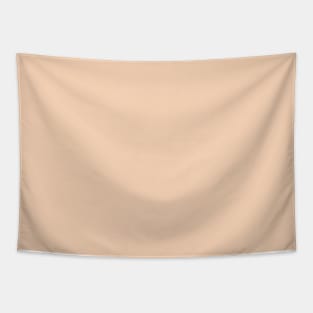 Autumn Winter Color Tender Peach Tapestry