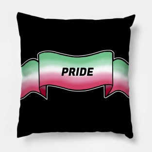 abrosexual pride banner Pillow