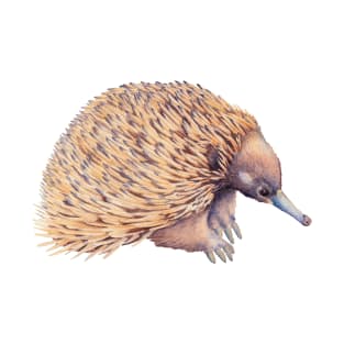 Echidna watercolor - Australian animal T-Shirt