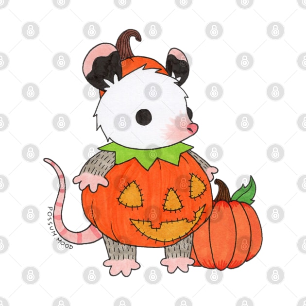 Pumpkin Costume by Possum Mood