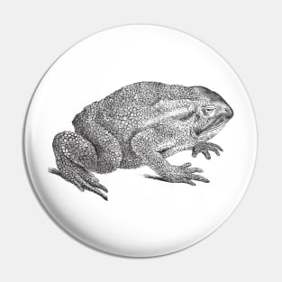 Grumpy Toad Pin