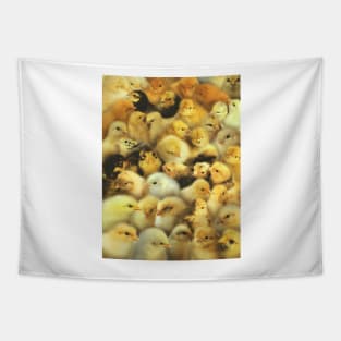 Chicks Tapestry