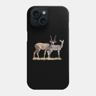 Lesser Kudu - Pair, Antelope, Kenya / Africa Phone Case