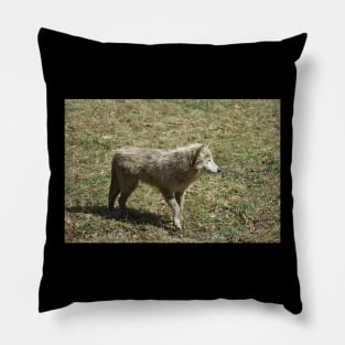 White Wolf Pillow