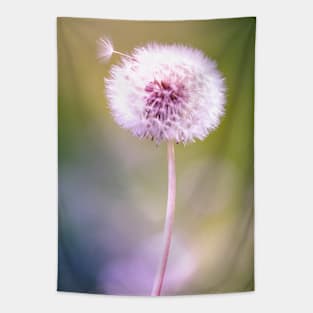 Dandelion 2 Tapestry