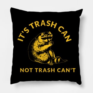 Its Trash Can Not Trash Cant Pillow