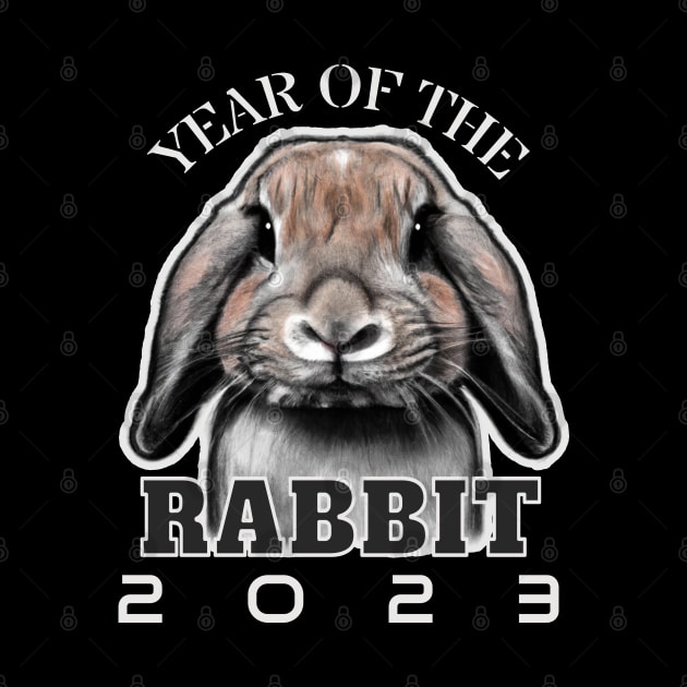 Year of the Rabbit 2023 by Decamega