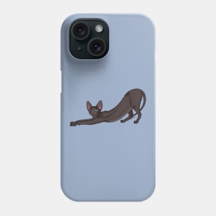 Black Sphynx Cat With Blue Eyes, Hairless Cat Phone Case