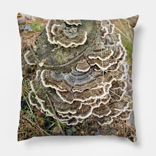 Turkey Tails Pillow