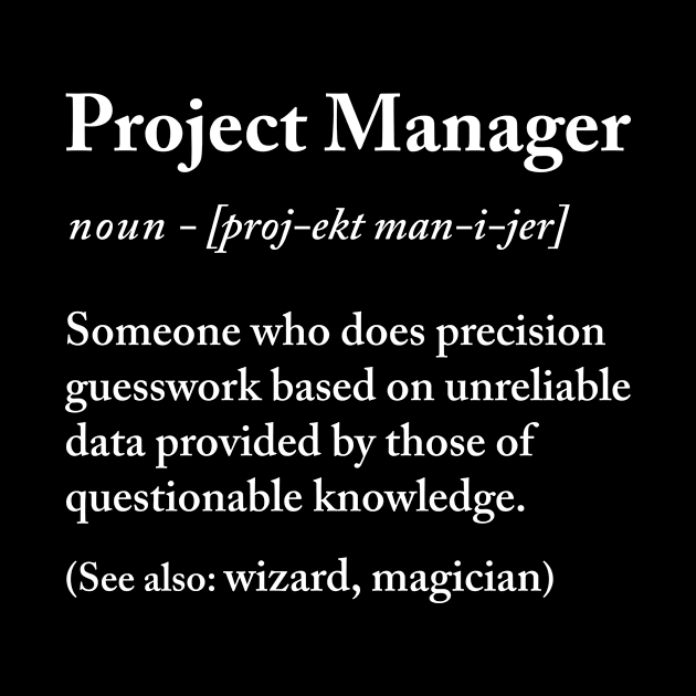 Project manager definition by produdesign