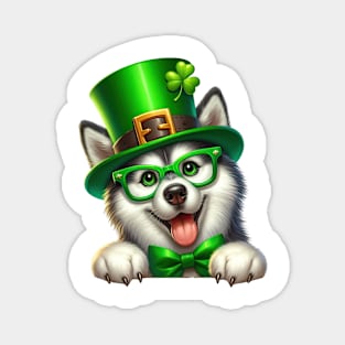 St Patricks Day Peeking Siberian Husky Dog Magnet