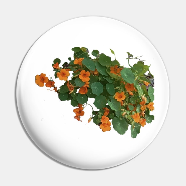 Wild Yellow Nasturtium Pin by mindprintz