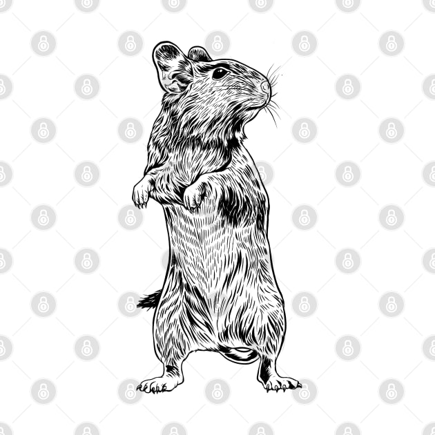 Line drawing - Degu by Modern Medieval Design