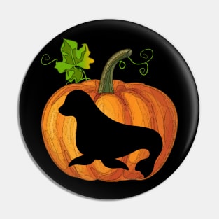 Seal in pumpkin Pin