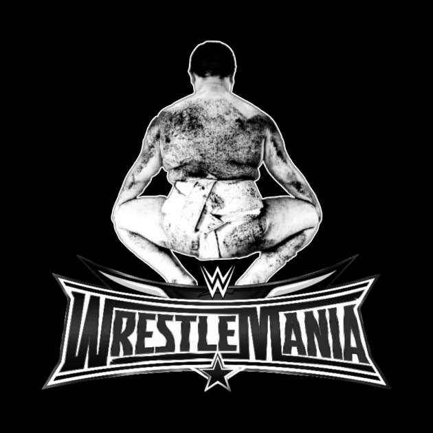 japanese sumo : wrestlemania by valentinewords