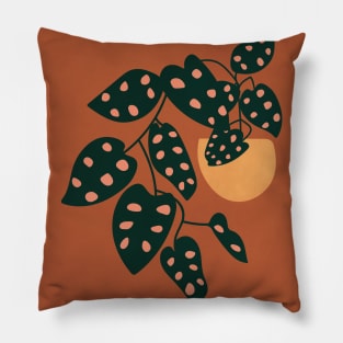 Adansonii Plant Illustration, Potted House Plant, Boho Art Print, Botanical Wall Art Pillow