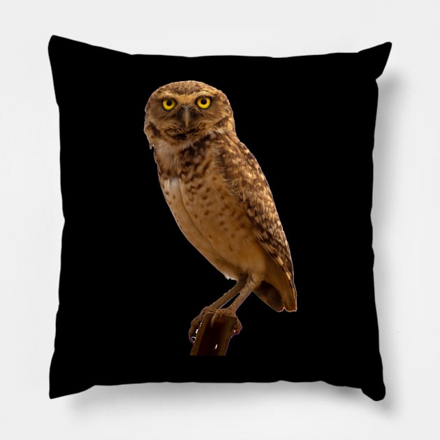 cute owl Pillow by rickylabellevie