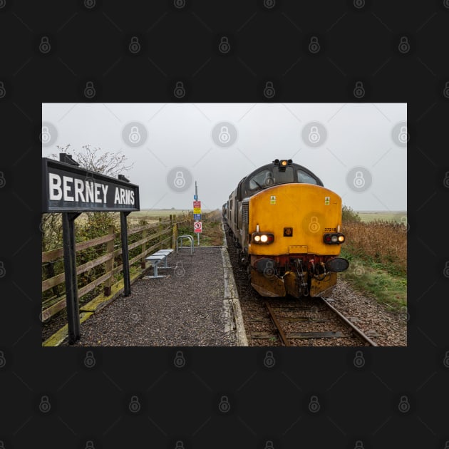 Berney Arms , Class 37 by Robert john