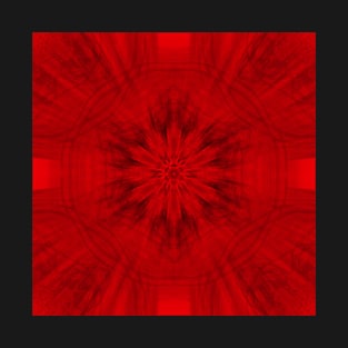 Motion through the red kaleidoscopes T-Shirt