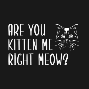 Are You Kitten Me Right Meow T-Shirt