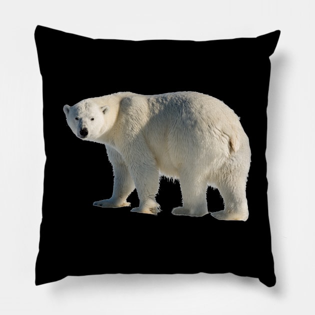 Polar Bear Pillow by Endangered Animals