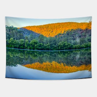 Reflections of Berowra Creek, Sydney, NSW, Australia Tapestry