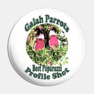 Parrots. Galah Parrots Profile Shot Pin