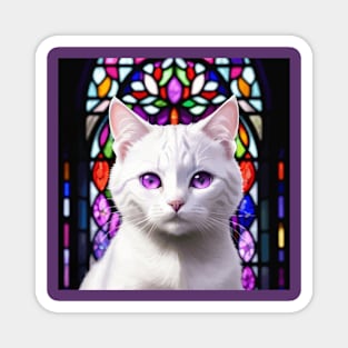 Sad White Cat with Purple Eyes in Front of Stained Glass Magnet