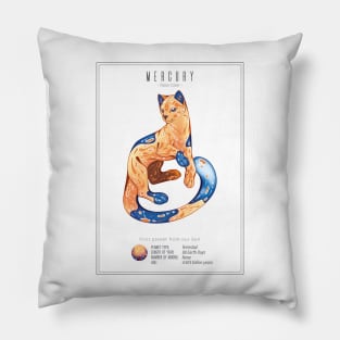 Mercury False Color Pillow