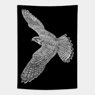 Peregrine falcon Tapestry