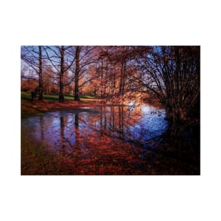 tree reflection in water, autumn fallen leaves T-Shirt