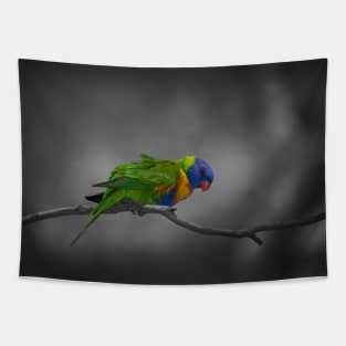 Rainbow Lorikeet_5159A Tapestry