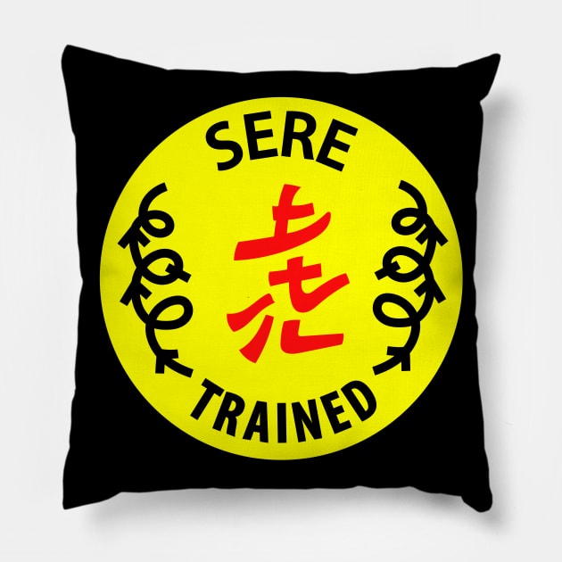 SERE Survival Evasion Resistance and Escape Pillow by aircrewsupplyco