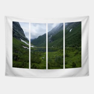 Wonderful landscapes in Norway. Vestland. Beautiful scenery of Urasetra and surroundings. Cows, lake, road and snowed mountain. Paradise and heaven. Cloudy day Tapestry