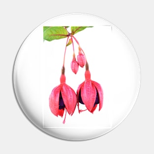 Fuchsia,Voodoo&#39;  Flower buds Pin