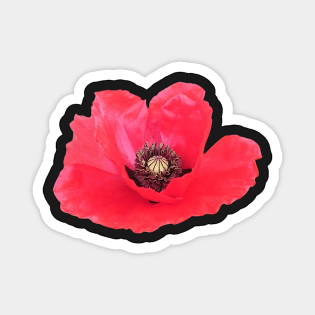 Poppy Magnet by WonkeyCreations