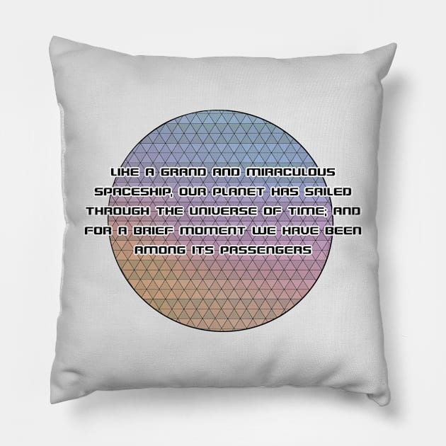 Spaceship Earth Pillow by SCarverDoodle