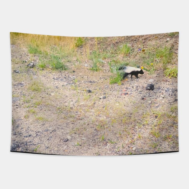 Baby Skunk Tapestry by etherealwonders