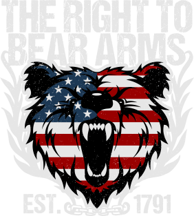 The Right To Bear Arms Gun Owner Magnet